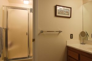 3935 226th Place SE Unit #308, Issaquah, WA 98029 - master bath 2