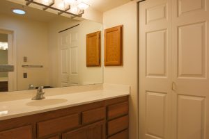 3935 226th Place SE Unit #308, Issaquah, WA 98029 - master bath 1