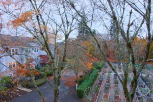 3935 226th Place SE Unit #308, Issaquah, WA 98029 - pea patch