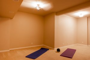 19723 Ash Crest Loop - finished basement rec room home gym