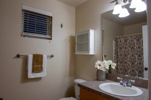 19723 Ash Crest Loop - bathroom