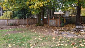 Backyard Chickens - 19575 Briarwood Ct NE - Poulsbo home for sale Ridgewood near schools Bangor Seattle ferries