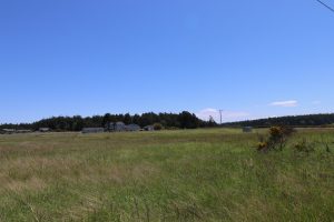 Whidbey Island land for sale nearly 5 acres Oak Harbor